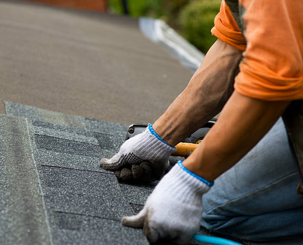 Professional Roofing Contractor in Hayneville, AL